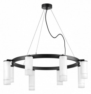 Подвесная люстра Lightstar Rullo LR0183648641 в Камышлове - kamyshlov.mebel24.online | фото 2