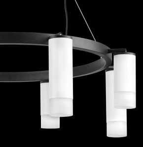 Подвесная люстра Lightstar Rullo LR0183648641 в Камышлове - kamyshlov.mebel24.online | фото 5