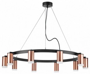 Подвесная люстра Lightstar Rullo LR0203000 в Камышлове - kamyshlov.mebel24.online | фото 2
