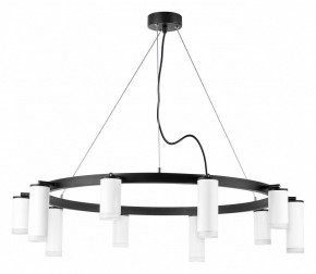 Подвесная люстра Lightstar Rullo LR0203658650 в Камышлове - kamyshlov.mebel24.online | фото 2