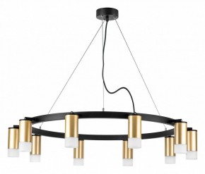 Подвесная люстра Lightstar Rullo LR0204001 в Камышлове - kamyshlov.mebel24.online | фото 2