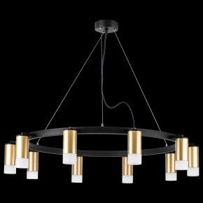 Подвесная люстра Lightstar Rullo LR0204001 в Камышлове - kamyshlov.mebel24.online | фото 3