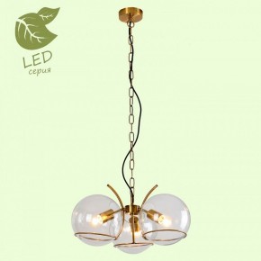 Подвесная люстра Lussole Anchorage GRLSP-9556 в Камышлове - kamyshlov.mebel24.online | фото 3