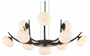 Подвесная люстра Lussole Blubber LSP-8937 в Камышлове - kamyshlov.mebel24.online | фото