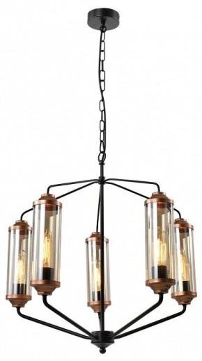 Подвесная люстра Lussole Fishers LSP-8800 в Камышлове - kamyshlov.mebel24.online | фото 2