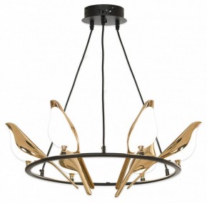 Подвесная люстра Lussole Jasper LSP-8641 в Камышлове - kamyshlov.mebel24.online | фото 4