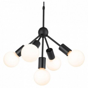 Подвесная люстра Lussole Kenner GRLSP-8271 в Камышлове - kamyshlov.mebel24.online | фото