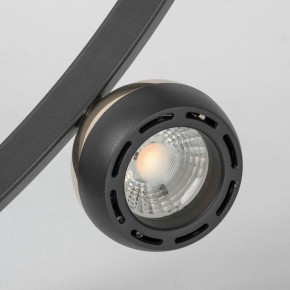 Подвесная люстра Lussole Lassen LSP-7253 в Камышлове - kamyshlov.mebel24.online | фото 3