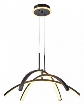 Подвесная люстра Lussole LSP-719 LSP-7195 в Камышлове - kamyshlov.mebel24.online | фото 2
