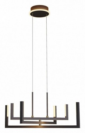 Подвесная люстра Lussole Lussoe LSP-7009 в Камышлове - kamyshlov.mebel24.online | фото 2