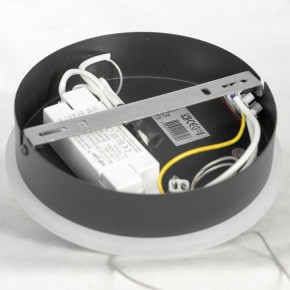 Подвесная люстра Lussole Lussoe LSP-7009 в Камышлове - kamyshlov.mebel24.online | фото 7