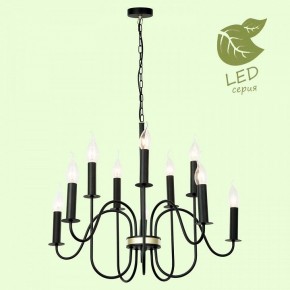 Подвесная люстра Lussole Roosevelt GRLSP-8198 в Камышлове - kamyshlov.mebel24.online | фото 3