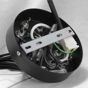 Подвесная люстра Lussole Seneca GRLSP-8177 в Камышлове - kamyshlov.mebel24.online | фото 10