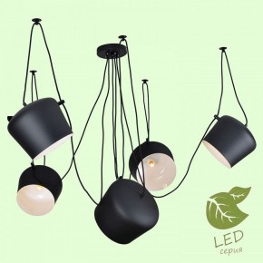 Подвесная люстра Lussole Shirley GRLSP-9919 в Камышлове - kamyshlov.mebel24.online | фото