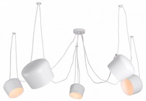 Подвесная люстра Lussole Shirley LSP-8175 в Камышлове - kamyshlov.mebel24.online | фото