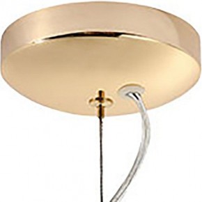 Подвесная люстра Lussole Star LSP-8334 в Камышлове - kamyshlov.mebel24.online | фото 3