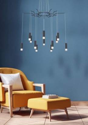 Подвесная люстра Maytoni Davida MOD035PL-12B в Камышлове - kamyshlov.mebel24.online | фото 4