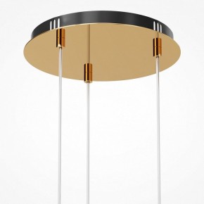 Подвесная люстра Maytoni Drop MOD273PL-L33G3K в Камышлове - kamyshlov.mebel24.online | фото 6
