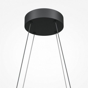 Подвесная люстра Maytoni Halo MOD244PL-L50BK в Камышлове - kamyshlov.mebel24.online | фото 5