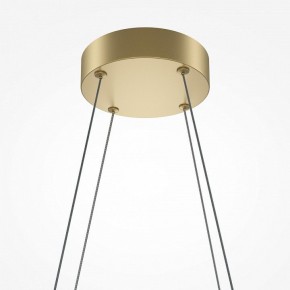 Подвесная люстра Maytoni Halo MOD244PL-L50BSK в Камышлове - kamyshlov.mebel24.online | фото 4