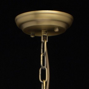 Подвесная люстра MW-Light Альгеро 3 285010703 в Камышлове - kamyshlov.mebel24.online | фото 14