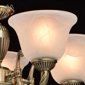 Подвесная люстра MW-Light Ариадна 20 450016305 в Камышлове - kamyshlov.mebel24.online | фото 5