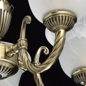 Подвесная люстра MW-Light Ариадна 20 450016305 в Камышлове - kamyshlov.mebel24.online | фото 6