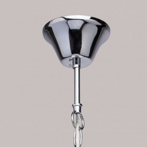 Подвесная люстра MW-Light Федерика 83 684010105 в Камышлове - kamyshlov.mebel24.online | фото 14