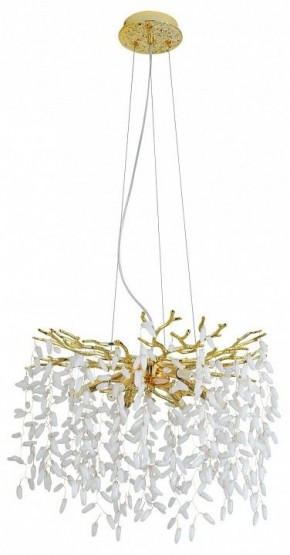 Подвесная люстра MW-Light Лайма 10 467012808 в Камышлове - kamyshlov.mebel24.online | фото