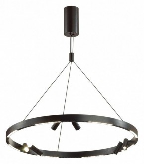 Подвесная люстра Odeon Light Beveren 6683/103L в Камышлове - kamyshlov.mebel24.online | фото 2