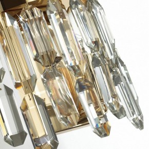 Подвесная люстра Odeon Light Dakisa 4986/12 в Камышлове - kamyshlov.mebel24.online | фото 8