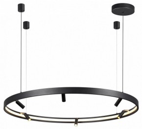 Подвесная люстра Odeon Light Fonda 4317/93L в Камышлове - kamyshlov.mebel24.online | фото 4