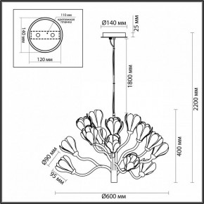 Подвесная люстра Odeon Light Gardi 5090/15 в Камышлове - kamyshlov.mebel24.online | фото 6
