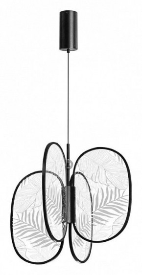 Подвесная люстра Odeon Light Piuma 6665/53L в Камышлове - kamyshlov.mebel24.online | фото 3