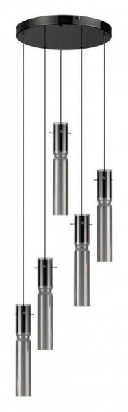 Подвесная люстра Odeon Light Scrow 5058/25L в Камышлове - kamyshlov.mebel24.online | фото