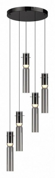 Подвесная люстра Odeon Light Scrow 5058/25L в Камышлове - kamyshlov.mebel24.online | фото 2