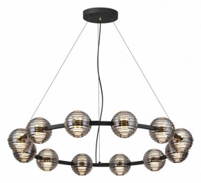 Подвесная люстра Odeon Light Troni 5041/120L в Камышлове - kamyshlov.mebel24.online | фото 2