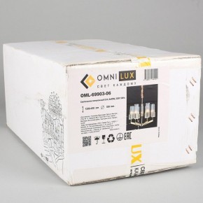 Подвесная люстра Omnilux Ledro OML-69903-06 в Камышлове - kamyshlov.mebel24.online | фото 7