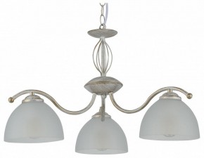 Подвесная люстра Rivoli Valerie Б0060979 в Камышлове - kamyshlov.mebel24.online | фото