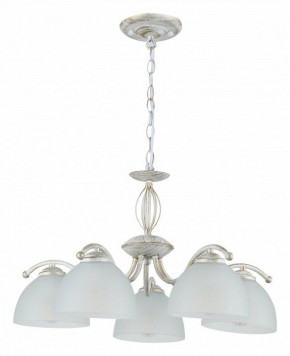 Подвесная люстра Rivoli Valerie Б0060980 в Камышлове - kamyshlov.mebel24.online | фото 2
