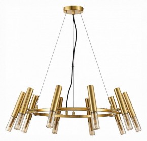 Подвесная люстра ST-Luce Eclip SL1236.203.10 в Камышлове - kamyshlov.mebel24.online | фото 3
