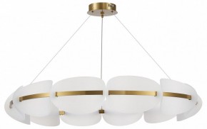 Подвесная люстра ST-Luce Etoile SL1304.203.65 в Камышлове - kamyshlov.mebel24.online | фото 3
