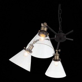 Подвесная люстра ST-Luce Evoluto SL237.413.05 в Камышлове - kamyshlov.mebel24.online | фото 7