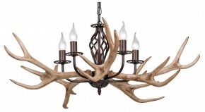 Подвесная люстра Vitaluce  V1491/5 в Камышлове - kamyshlov.mebel24.online | фото