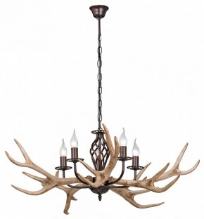 Подвесная люстра Vitaluce  V1491/5 в Камышлове - kamyshlov.mebel24.online | фото 2