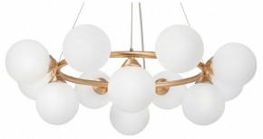 Подвесная люстра Vitaluce V48410 V48410-8/12S в Камышлове - kamyshlov.mebel24.online | фото