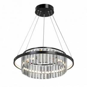 Подвесная люстра Vitaluce V54010 V54010-1/1S в Камышлове - kamyshlov.mebel24.online | фото