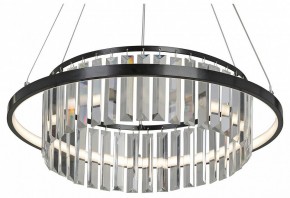 Подвесная люстра Vitaluce V54010 V54010-1/1S в Камышлове - kamyshlov.mebel24.online | фото 2