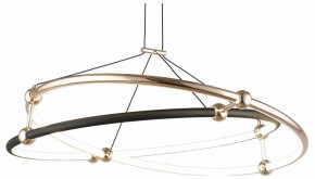 Подвесной светильник Aployt Diana APL.034.03.40 в Камышлове - kamyshlov.mebel24.online | фото 1