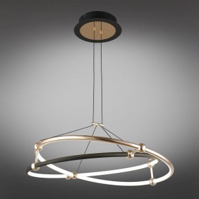 Подвесной светильник Aployt Diana APL.034.03.40 в Камышлове - kamyshlov.mebel24.online | фото 11